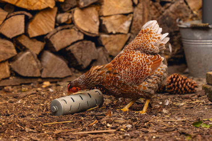 beeztees Hühner-Snackrolle